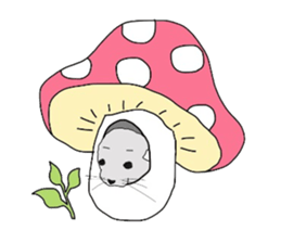 chinchillasan sticker #3017210