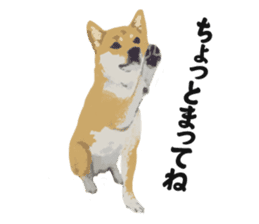 Life with Shiba-Inu sticker #3022843