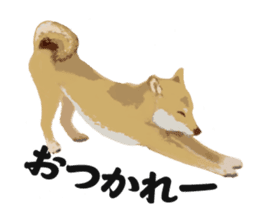 Life with Shiba-Inu sticker #3022846