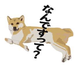Life with Shiba-Inu sticker #3022848