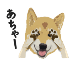 Life with Shiba-Inu sticker #3022849