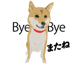 Life with Shiba-Inu sticker #3022855