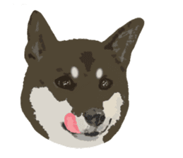 Life with Shiba-Inu sticker #3022860