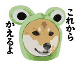 Life with Shiba-Inu sticker #3022862