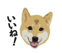Life with Shiba-Inu sticker #3022866