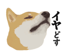 Life with Shiba-Inu sticker #3022867