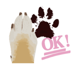 Life with Shiba-Inu sticker #3022870