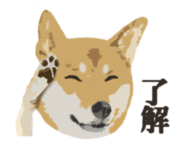 Life with Shiba-Inu sticker #3022872