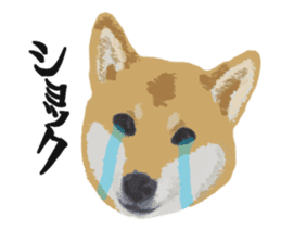 Life with Shiba-Inu sticker #3022880