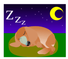 Dachshund Red (dog stamp series) sticker #3031855