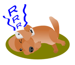 Dachshund Red (dog stamp series) sticker #3031878