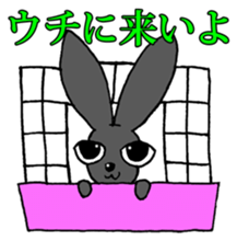 Tsundere Black rabbit ~KUNUGI SAN~ sticker #3031954