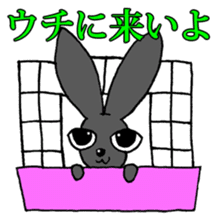 Tsundere Black rabbit ~KUNUGI SAN~ sticker #3031954