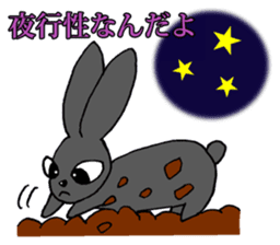 Tsundere Black rabbit ~KUNUGI SAN~ sticker #3031962