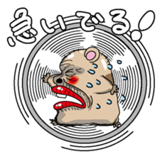 Gokigen Hamusan sticker #3037319