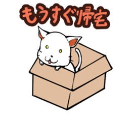 Maybe cat sticker #3039055