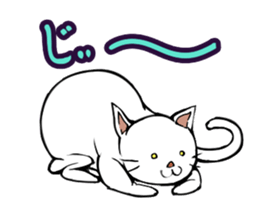 Maybe cat sticker #3039063