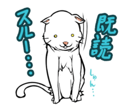 Maybe cat sticker #3039064