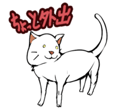 Maybe cat sticker #3039065