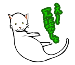 Maybe cat sticker #3039069