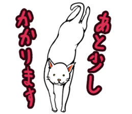 Maybe cat sticker #3039076