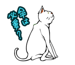 Maybe cat sticker #3039078