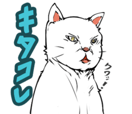 Maybe cat sticker #3039090