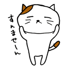 KANSAI cat stickers sticker #3042214