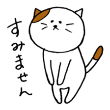 KANSAI cat stickers sticker #3042221