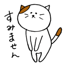 KANSAI cat stickers sticker #3042221