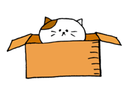 KANSAI cat stickers sticker #3042228