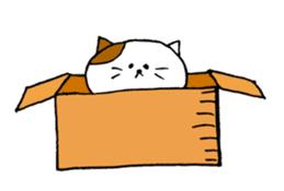 KANSAI cat stickers sticker #3042228