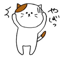 KANSAI cat stickers sticker #3042233