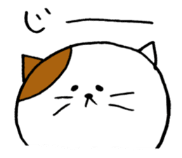 KANSAI cat stickers sticker #3042235