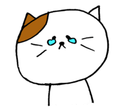 KANSAI cat stickers sticker #3042239