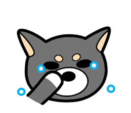 Shiba Inu Pochi and Taro. sticker #3043473