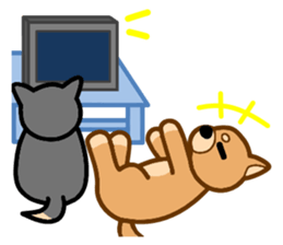 Shiba Inu Pochi and Taro. sticker #3043485