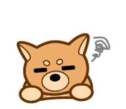 Shiba Inu Pochi and Taro. sticker #3043504