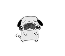 pug-dog sticer3 sticker #3044168