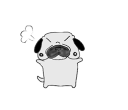 pug-dog sticer3 sticker #3044172