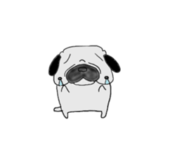 pug-dog sticer3 sticker #3044187