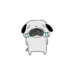 pug-dog sticer3 sticker #3044188