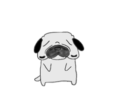 pug-dog sticer3 sticker #3044190