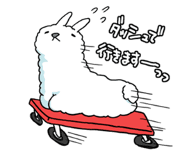 A l p a c a sticker #3044732
