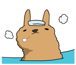 A l p a c a sticker #3044749