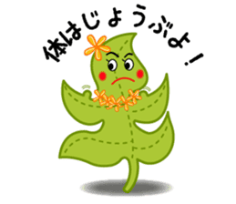 Monstera plants of Hawaii sticker #3045110