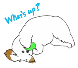 Feeling of the Shih Tzu (English) sticker #3047057