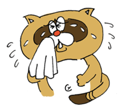 raccooncat sticker #3049667