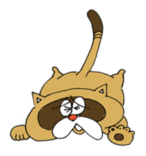 raccooncat sticker #3049672