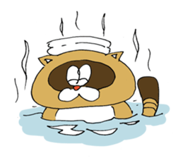 raccooncat sticker #3049687